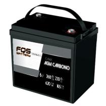 FQS Battery FQS6-265AGMC - Batería traccion ligera agm carbono 6v 230AH + Diag