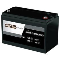 FQS Battery FQS12-115AGMC - Batería traccion ligera agm carbono 12 V 118AH + I