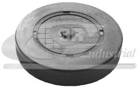 3RG 80660 - Tapon bloque motor