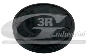 3RG 84613 - Tapon bloque motor