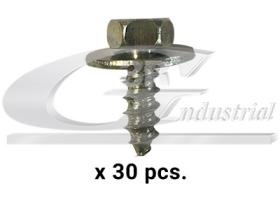 3RG 86113 - Tornillo carrocería (pack 30 pcs)