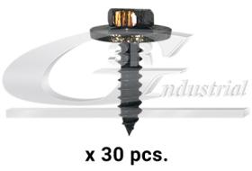 3RG 86121 - Tornillo carrocería (pack 30 pcs)